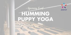 Humming Puppy Yoga Class