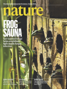 Dr. Anthony Waddle saves frogs in NSW